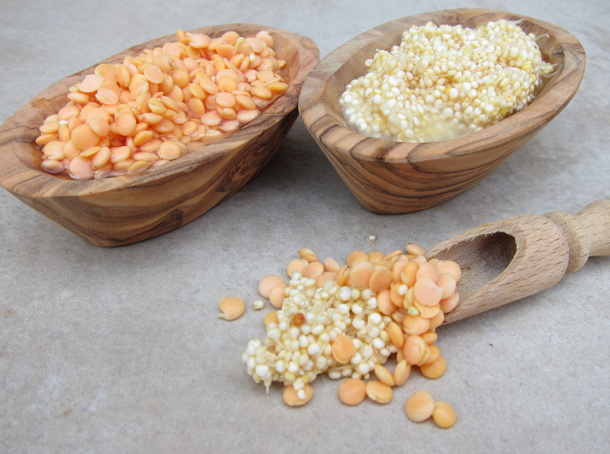 arooga gekeimte und fermentierte Linsen und Quinoa